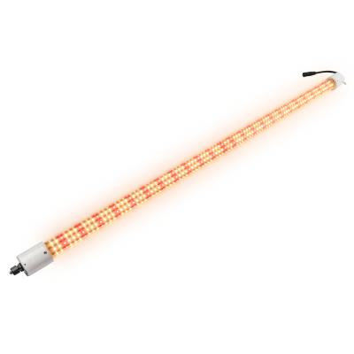 China Aluminum Alloy+PC SINJIA New 180W 100cm 360degree LED Grow Light ZW0269 for sale