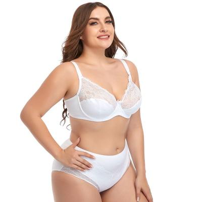 China Transparente panties and bra set QUICK DRY underwear set Japanese women fashion woman plus size bra for sale