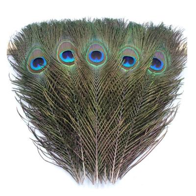 China DIY Tried 50PCS Real Natural Peacock Eye Feathers 25-30cm For DIY Craft Wedding Holiday Feather Decoration Trim for sale