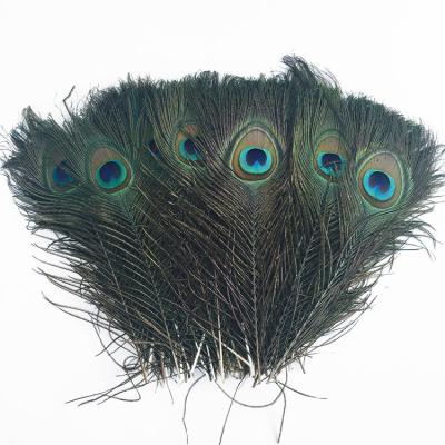 China DIY Tried 30PCS 90-100cm Peacock Feathers Sets Feather Decorations Home Crafts Stone Crafts Accessories for sale