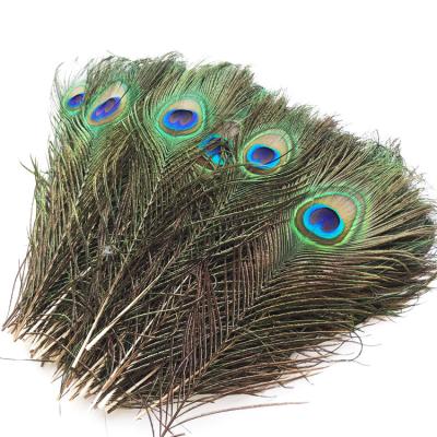 China DIY Tried 100-110cm 30PCS Feather Accessories Home Stone Crafts Accessories Peacock Feathers India for sale