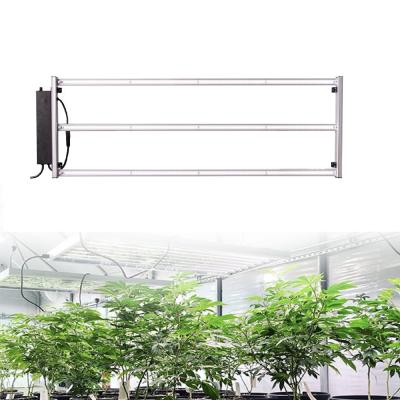 China seed starting good quality led grow lights 660w led grow light bar lm301b led grow light 600 for sale