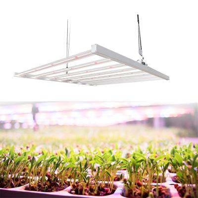 China Seed Starting Cob Led Grow Light Greenhouse Hydroponics Strawberry Led Lighting Grow Led Light Plant for sale