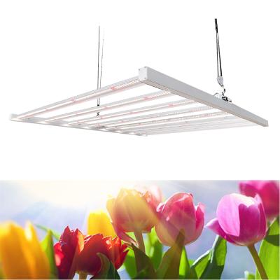 China Seed starting AGPC 630W lux lighting led grow lm301h led grow lights full spectrum 1700 ppf grow light for sale