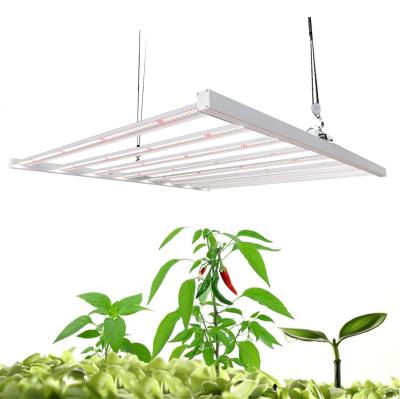 China Seed Starting Professional Cob Led Full Spectrum Digital Grow Lights For Growing Light Led Indoor Plants for sale