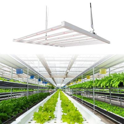 China Seed starting 1000 watt led grow light full spectrum green house lighting led grow light bar 1000w for sale