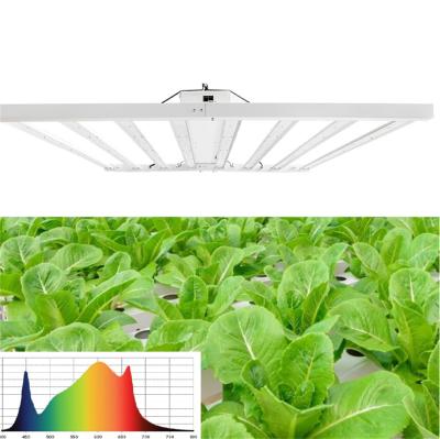 China Seed starting best led to grow manufactur zeus 600w light indoor pro plant to grow light for sale