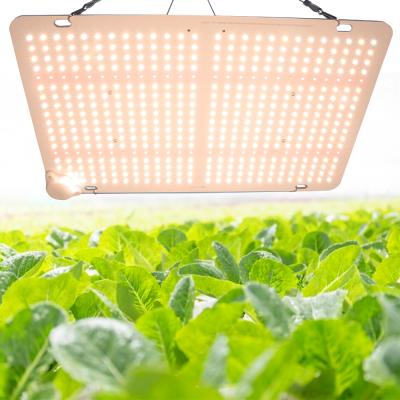 China Seed starting best led grow light manufactur full spectrum grow led for led grow light plant for sale