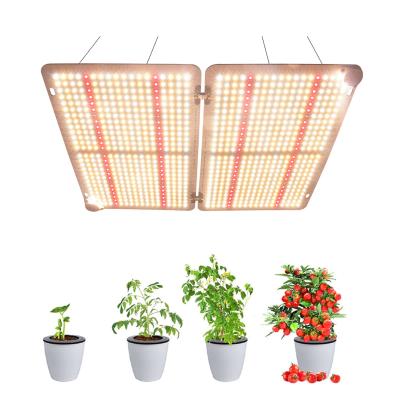 China Seed Starting Running Fixture USA ETL Dimmable 97% Reflectivity 1000W Hydroponic Double HID Finished HPS Plant Grow Lights for sale