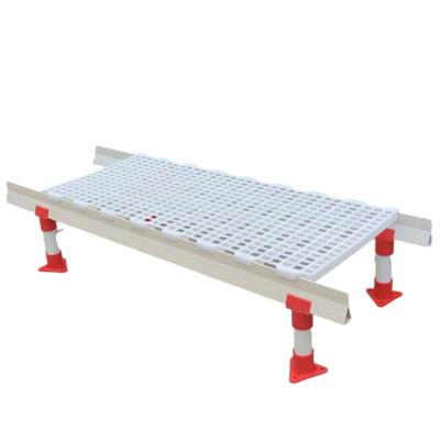 China Plastic Farms Chicken Flooring Chicken Farm Flooring Slats Mat for sale