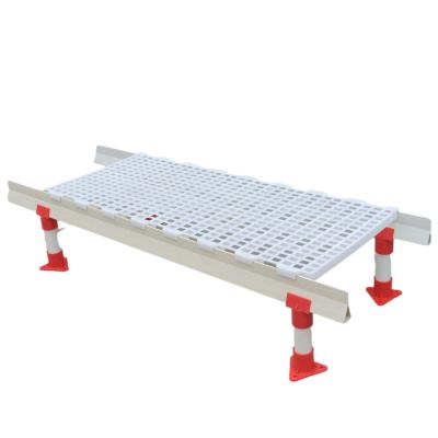 China Farms Plastic Floor Chicken Slat Flooring Plastic Chicken Slat for sale