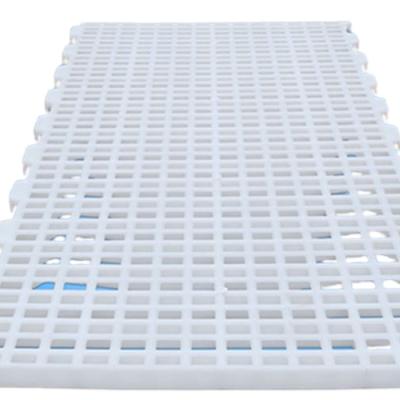 China Cultivate High Strength Plastic White Chicken Slat Poultry Farm Plastic Slat Flooring For Poultry for sale