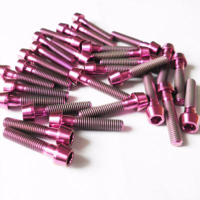 China Din912 TAP Titanium bolt titanium Hex socket tapered head screw cutsomized for sale