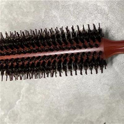 China For home use LUNGO-M PROFESSIONAL BRUSH for sale