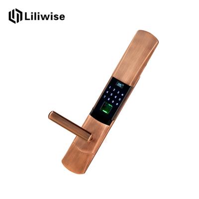 China Deadbolt Smart Keyless Entry Door Lock , Digital Fingerprint Door Lock for sale