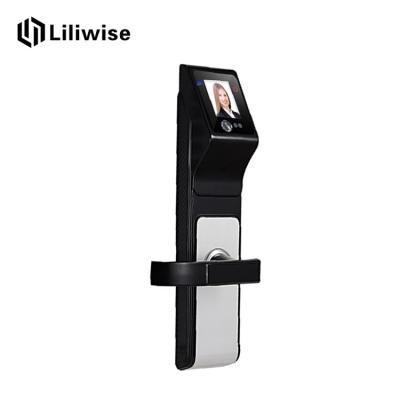 China Smart IR 3D Face Recognition Electronic Door Locks / Keyless Entry Door Handle Locks for sale