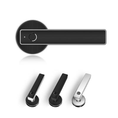 China Office Electronic Door Locks Phone Control Biometric Fingerprint Entry Smart Door Lock for sale