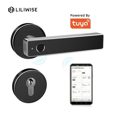 China Fingerprint Door Lock Wifi Smart Lock Tuya TTlock APP Remote Control for sale