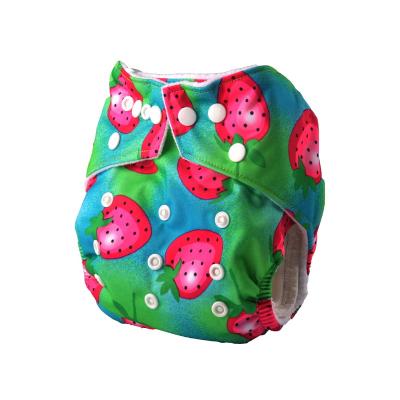 China 100 Units OEM Factory Sale Baby Cloth Diaper Printed Cloth Diaper tinlycloz Private Labels Directly for sale