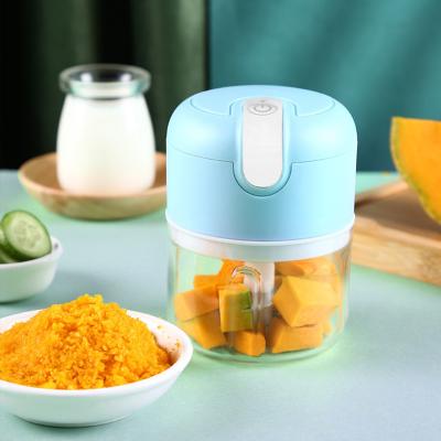 China High Quality Sustainable Thermo Baby Mini Multifunctional Food Processors Blender Usb Rechargeable Blender for sale