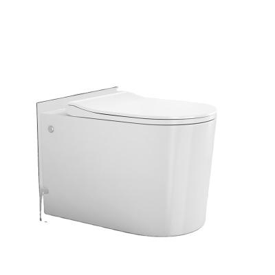 China Double-Flow Ceramic Toilet Sanitary Ware Smart Toilet Flushing Automatic One-Piece Smart Toilet for sale