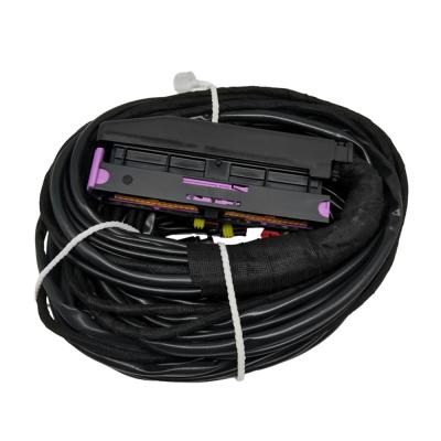 China 56 Pin ECU Wiring Harness With Multiple Connectors And PVC Pipe Protection for sale