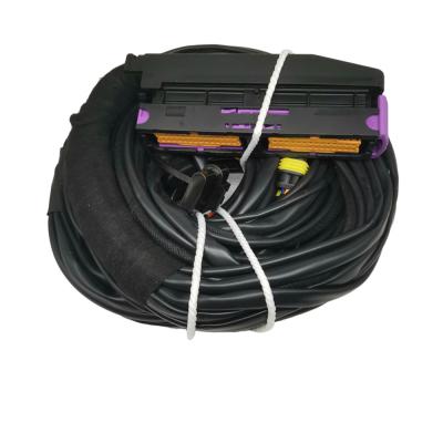 中国 OEM Accepted ISO9001 Waterproof Automotive Cable Harness For 56 Pins ECU 販売のため