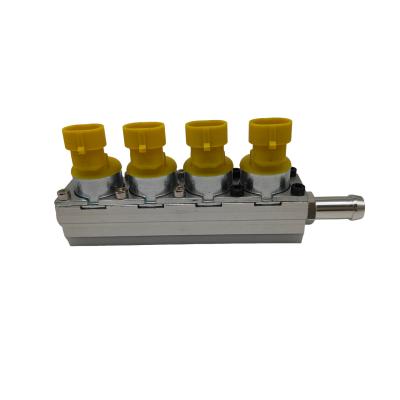 China Professional Test Injector Rail for CNG or LPG Cars Customizable Design for sale