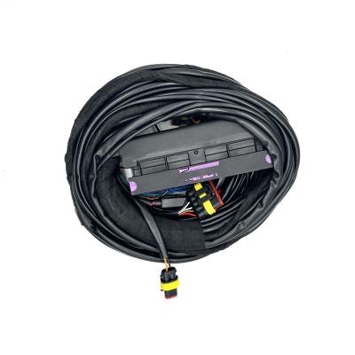 China 4 haz de cables auto de múltiples puntos del Pin CNG LPG del arnés 56 de la inyección de carburante del ECU del cilindro en venta