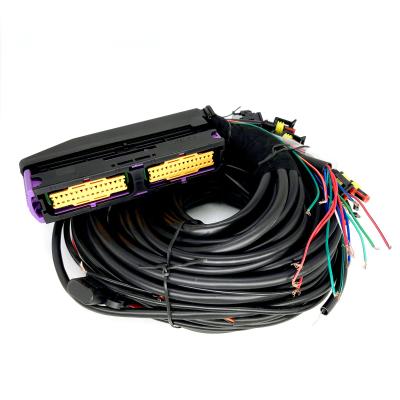 China Multipoint CNG LPG Automotive Wiring Harness 56 Pin For 6 Cylinder ECU for sale