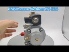 LLANO CNG Pressure Regulator LN-BRC for 2 Stage Traditional CNG Sequential Fuel Injection Equipments