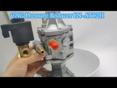 LLANO CNG Pressure Regulator for High Pressure Solenoid Valve Silver And Black Reducer