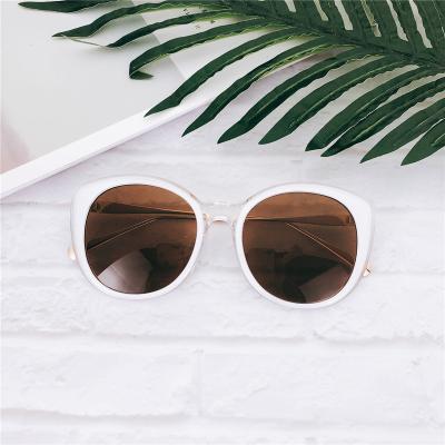 China Movie sunglasses high quality fashion frame cat eye big colors personalized sunglasses driving glasses for sale