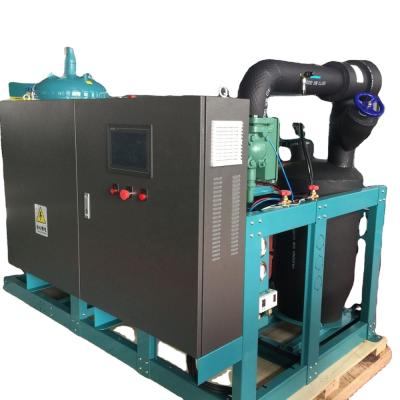 China Refrigeration parts 75hp HSN7471-75 bitzer screw compressor condensing units for sale