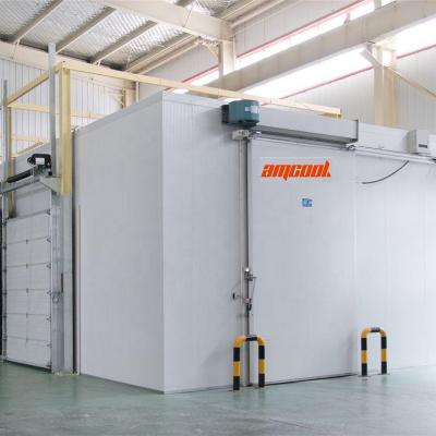 China High Quality Container Cold Room Refrigeration System Meat Chicken Pork Widely Used Freezer for sale