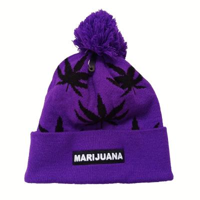 China COMMON High Quality Custom Women's Winter Knitted Beanie Hat With Purple Pom Pom for sale