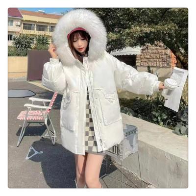 China High Quality Breathable Winter Coat Zipper Fox Fur Hooded Outdoor Goose Goose Down Jacket Women's Warm Outdoor Hooded Goose for sale