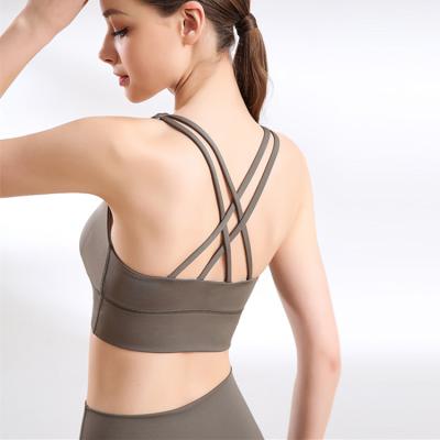 China Women Breathable Sexy Crop Tops Padded Push Up Sports Bra Fitness Gym Yoga Top Bra for sale