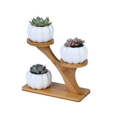 China Modern Pemphis Owl Pumpkin Ceramic Plant Simple White Creative Succulent Pot with Bamboo Frame for sale