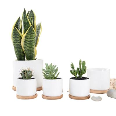 China Modern Simple White Creative Pemphis Plant Ceramic Succulent Pot With Bamboo Tray for sale