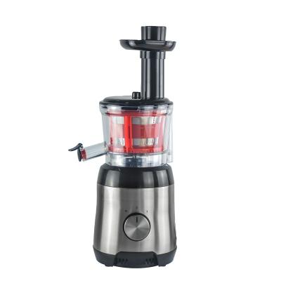 China Commercial Black 300W 3 in 1 Fruit Vegetable Slow Juicer for sale