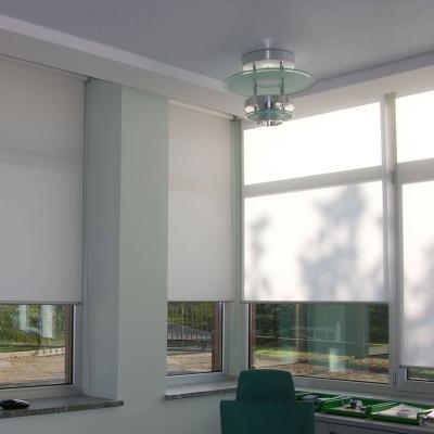 China ROMAN Popular Blinds Transparent Horizontal Roller Shade for sale