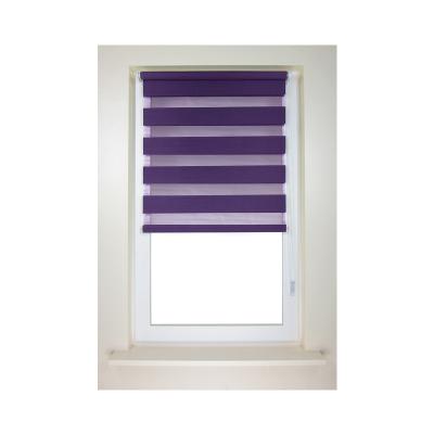 China ROMAN New Design Zebra Blinds and Curtains, Day and Night Blind with Perfect Price for sale