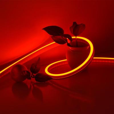 China Colorful Changeable Decorating Silicone RGB Neon Flex Led Strip Waterproof for sale