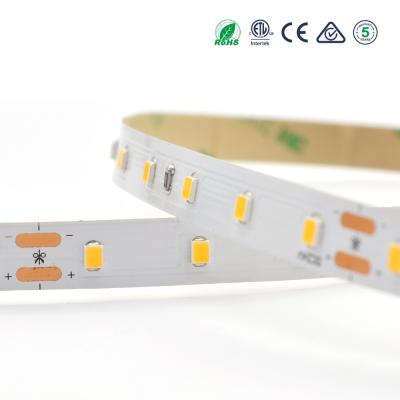 China Copper high efficiency 100 feet 160lm/w 80leds/m strip 2835 led for house lighting for sale