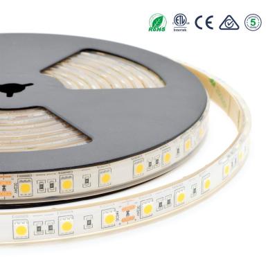 China Top quality 5500k ws2801 copper pool led strip lighting for sale