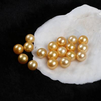 China Freshwater Pearl 8-9mm Gold Color Round Loose Freshwater Pearl Beads No Hole For Women DIY Accessories for sale