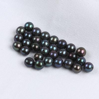 China Freshwater Pearl 7-8mm Black Round Shape Real Freshwater Loose Pearl Beads No Hole for sale