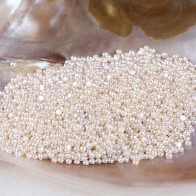 China Button Shape White Freshwater Pearl 2-2.5mm Loose Pearls for sale