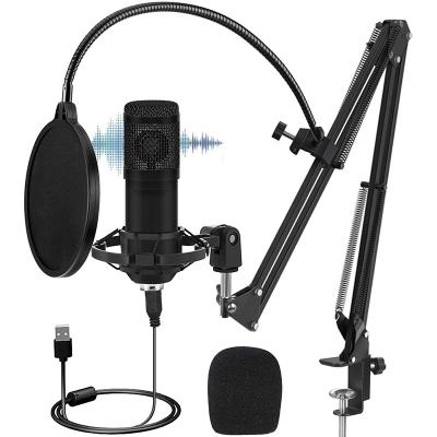 China Perfect inalambrico Para de condensador de microphone de profesionales de la noise CPYP BM-800 celular for sale